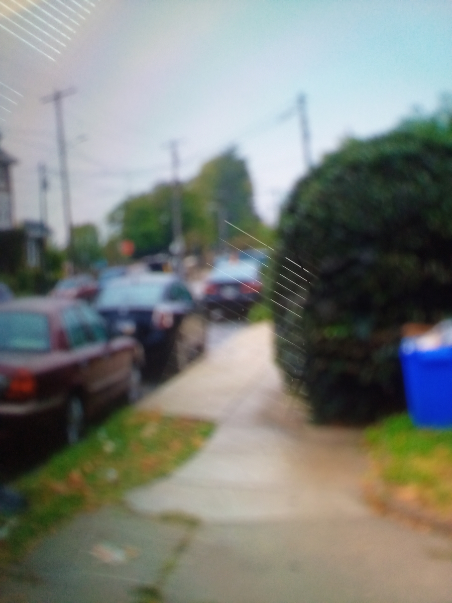Photographic documentation of the work as submitted to the city's 311 record.
