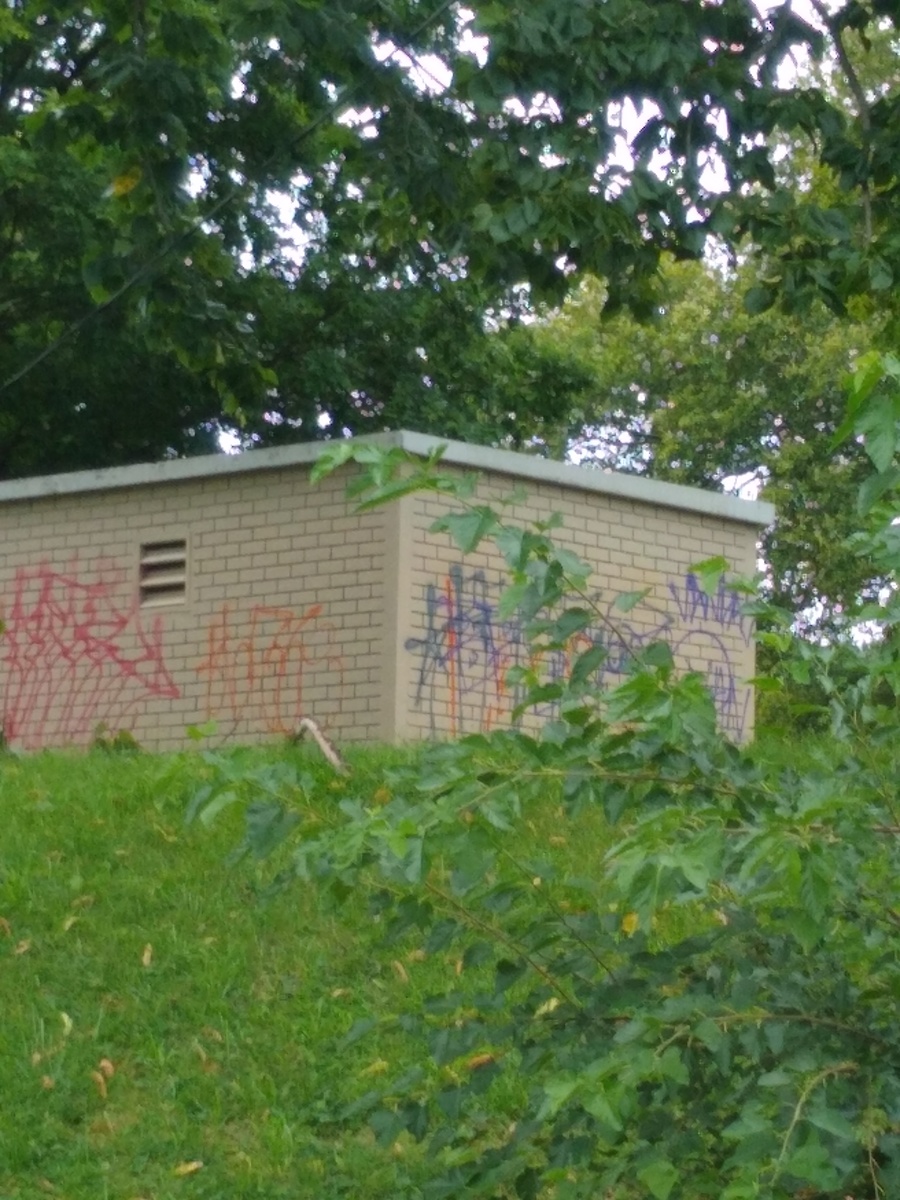 Photographic documentation of the work as submitted to the city's 311 record.