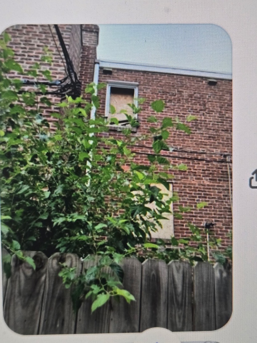 Photographic documentation of the work as submitted to the city's 311 record.