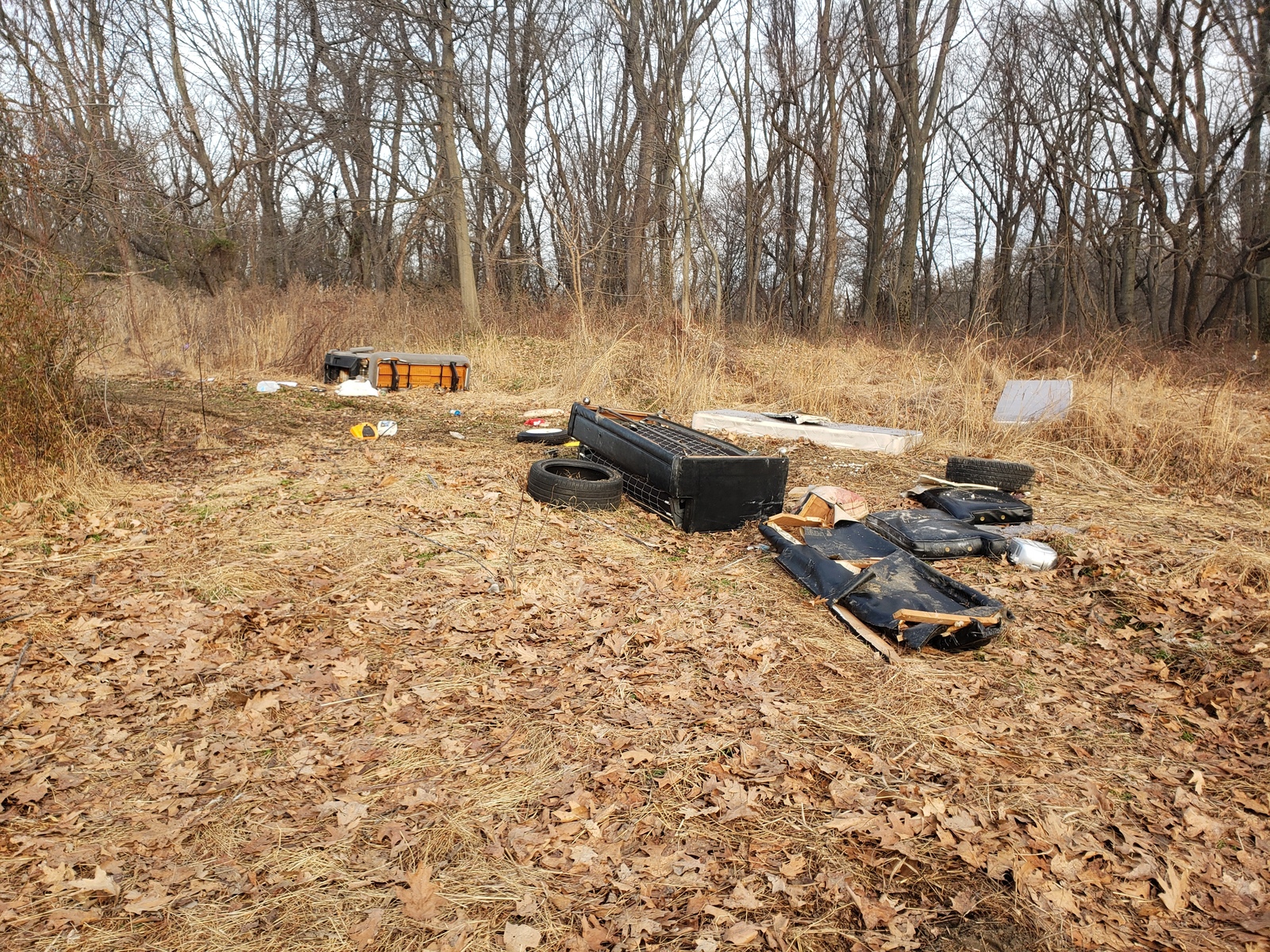 Photographic documentation of the work as submitted to the city's 311 record.