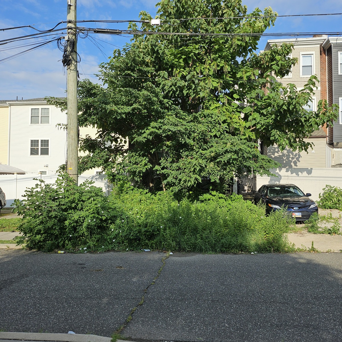 Photographic documentation of the work as submitted to the city's 311 record.