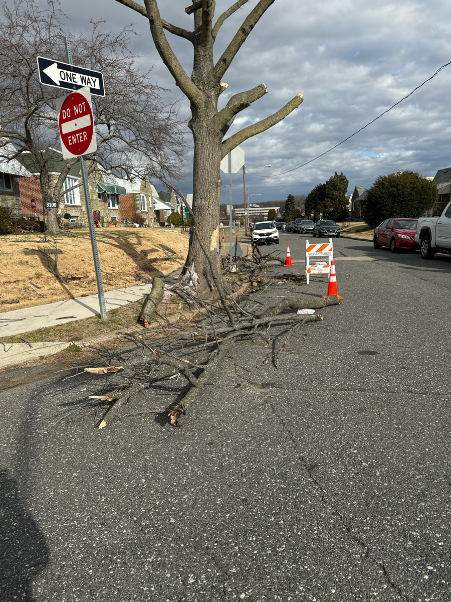 Photographic documentation of the work as submitted to the city's 311 record.