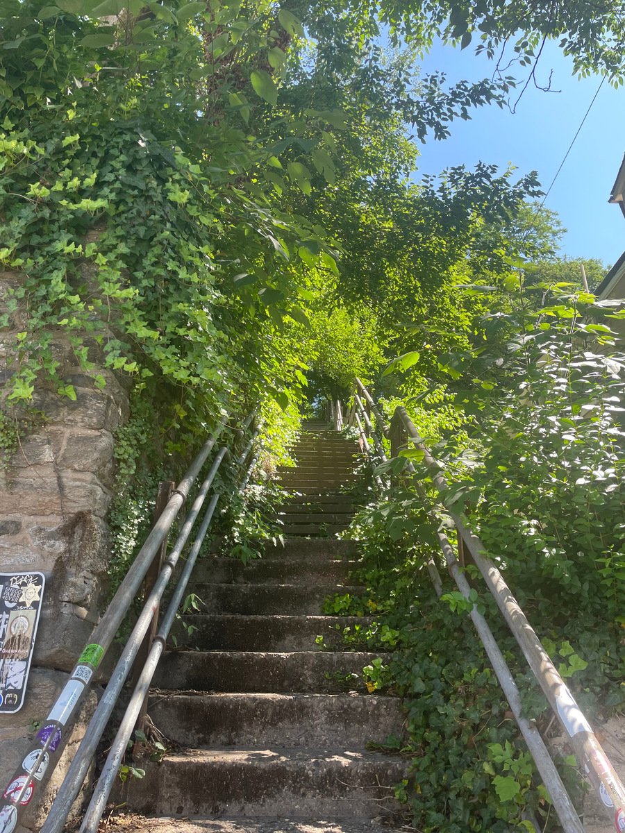 Photographic documentation of the work as submitted to the city's 311 record.