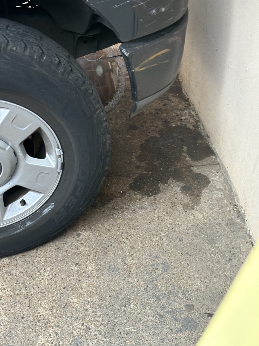 Photographic documentation of the work as submitted to the city's 311 record.