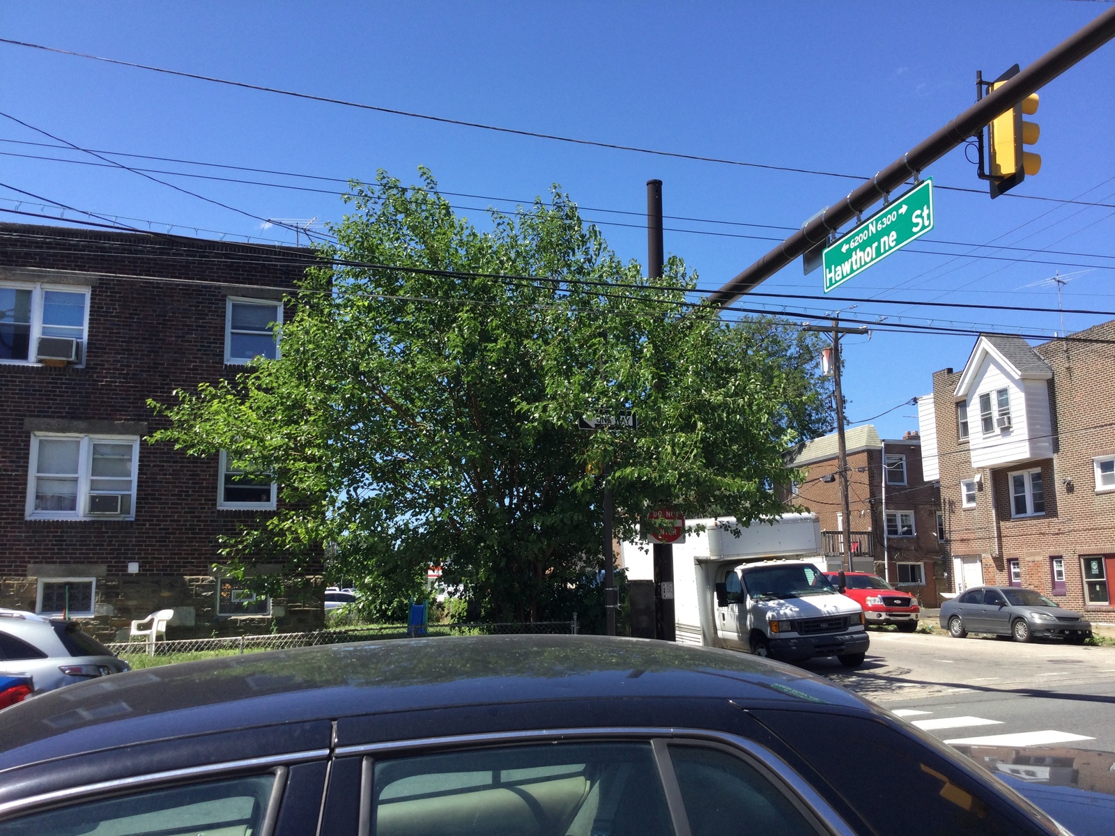 Photographic documentation of the work as submitted to the city's 311 record.