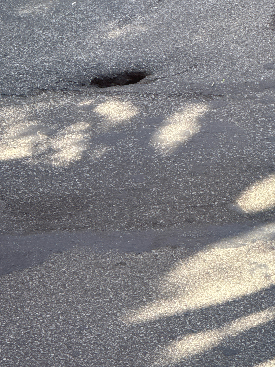 Photographic documentation of the work as submitted to the city's 311 record.