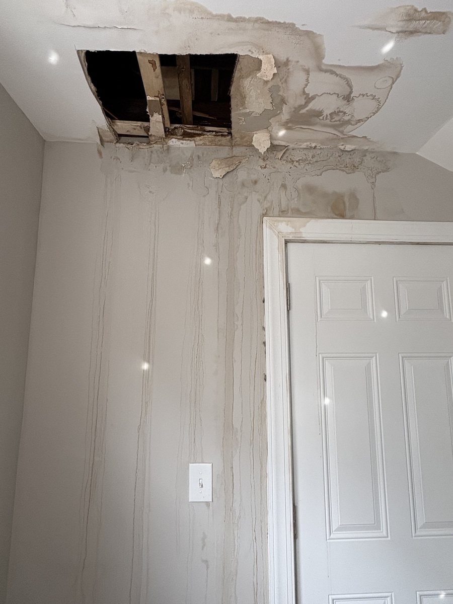 Photographic documentation of the work as submitted to the city's 311 record.