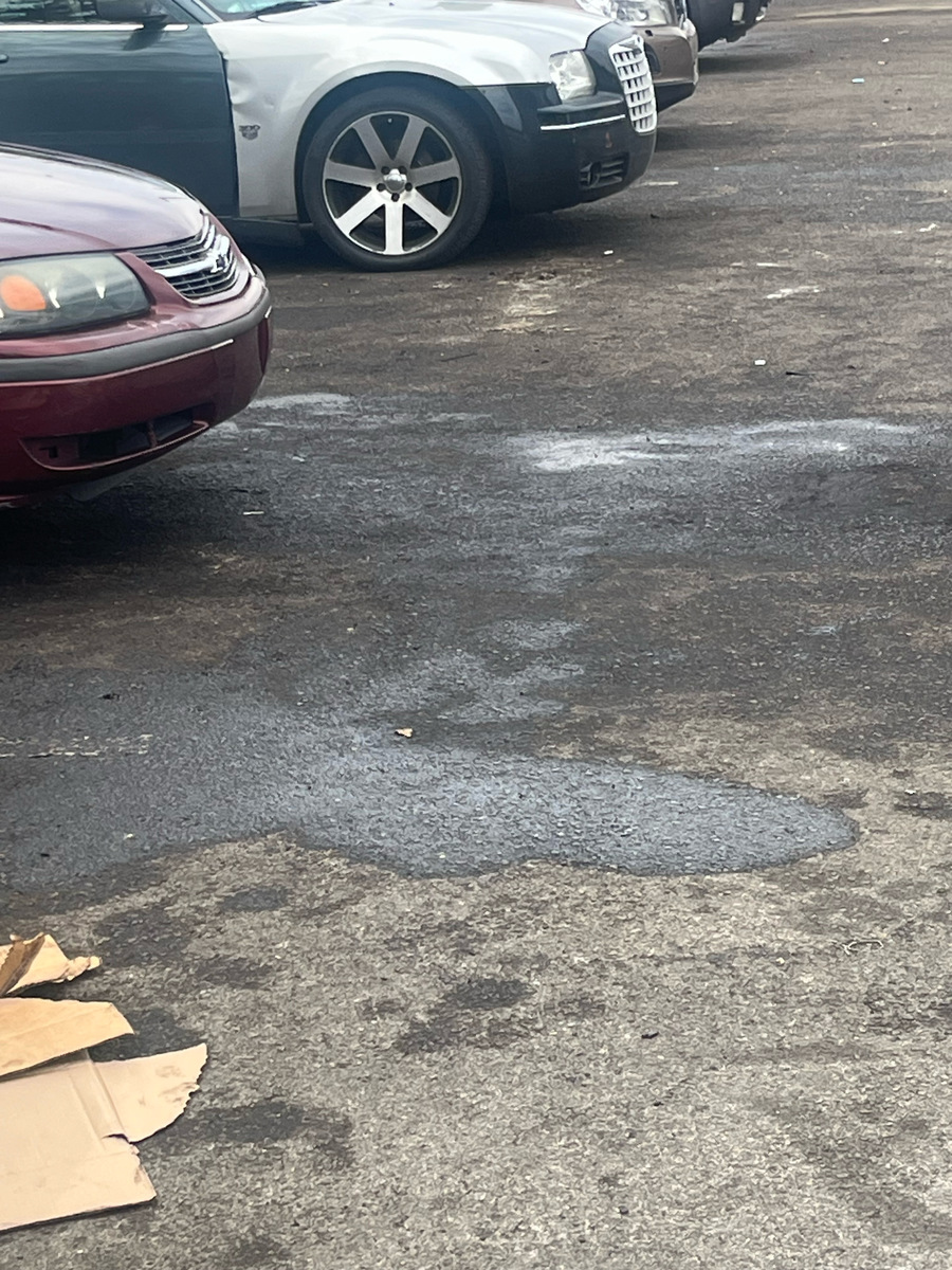 Photographic documentation of the work as submitted to the city's 311 record.