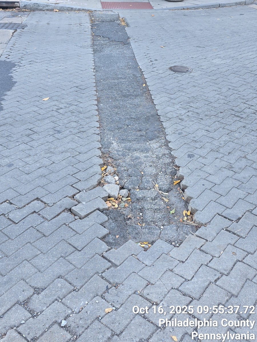 Photographic documentation of the work as submitted to the city's 311 record.