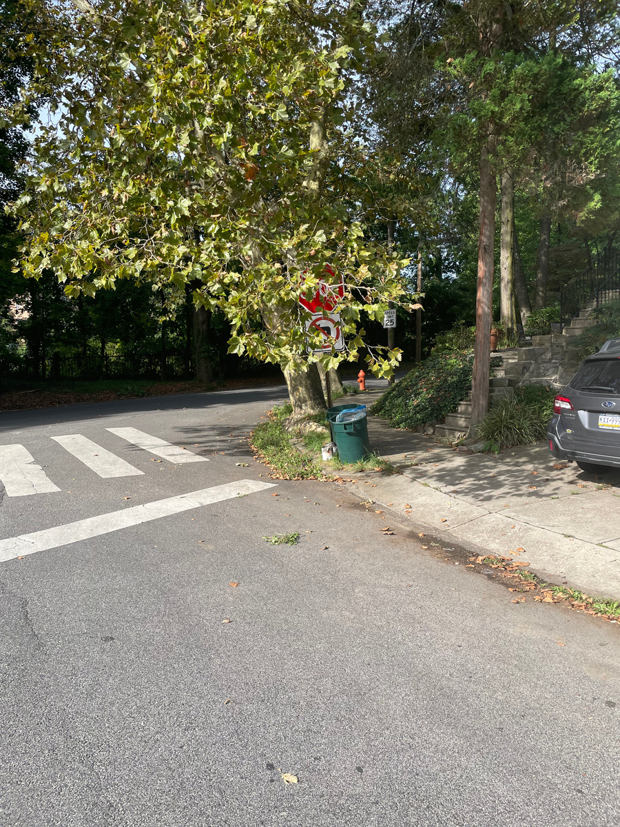 Photographic documentation of the work as submitted to the city's 311 record.