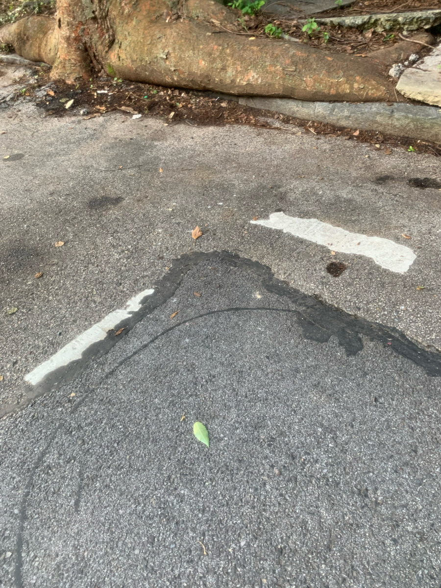 Photographic documentation of the work as submitted to the city's 311 record.