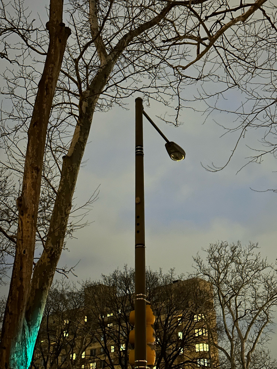 Photographic documentation of the work as submitted to the city's 311 record.