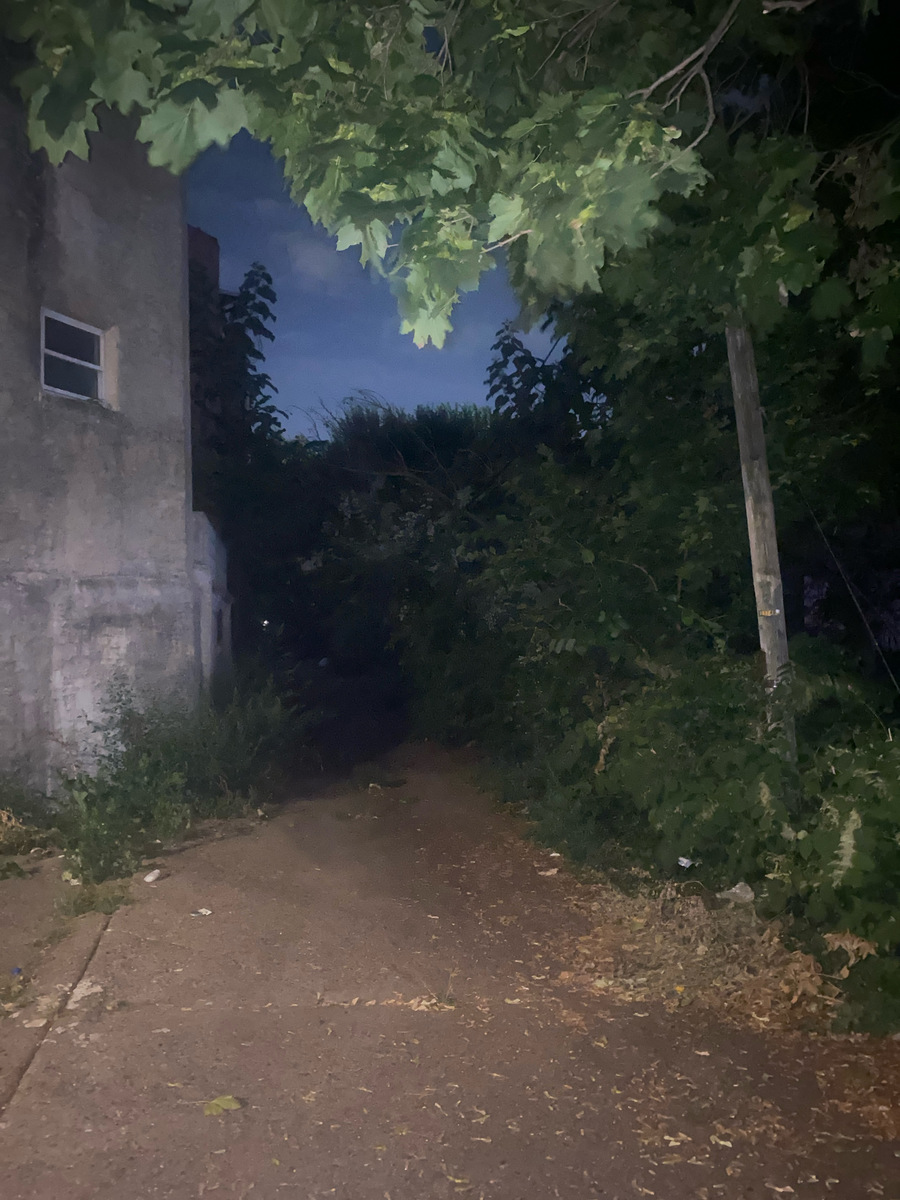 Photographic documentation of the work as submitted to the city's 311 record.