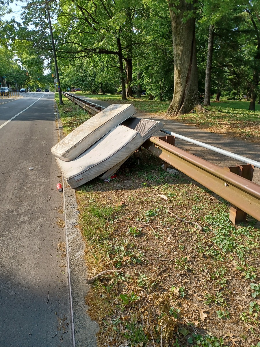 Photographic documentation of the work as submitted to the city's 311 record.