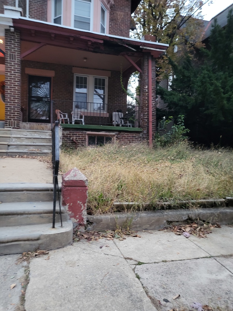 Photographic documentation of the work as submitted to the city's 311 record.