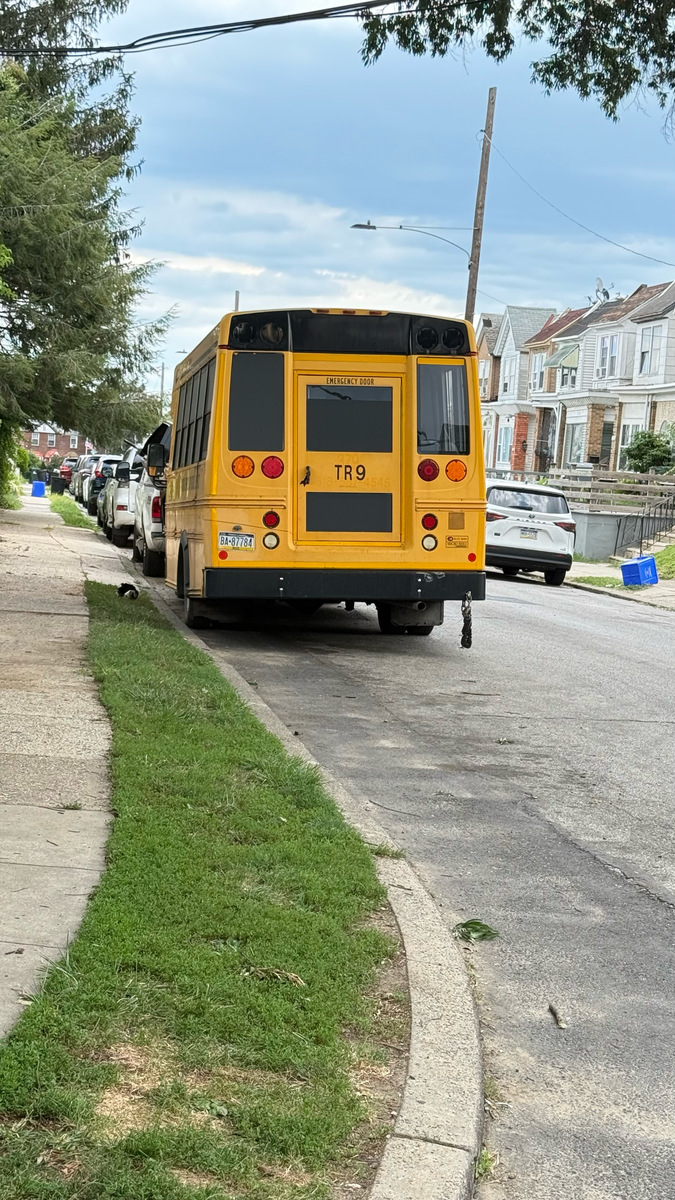 Photographic documentation of the work as submitted to the city's 311 record.