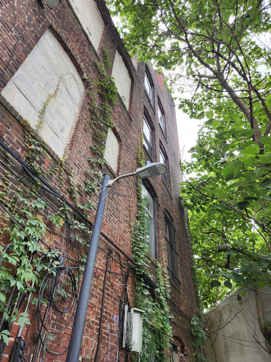 Photographic documentation of the work as submitted to the city's 311 record.