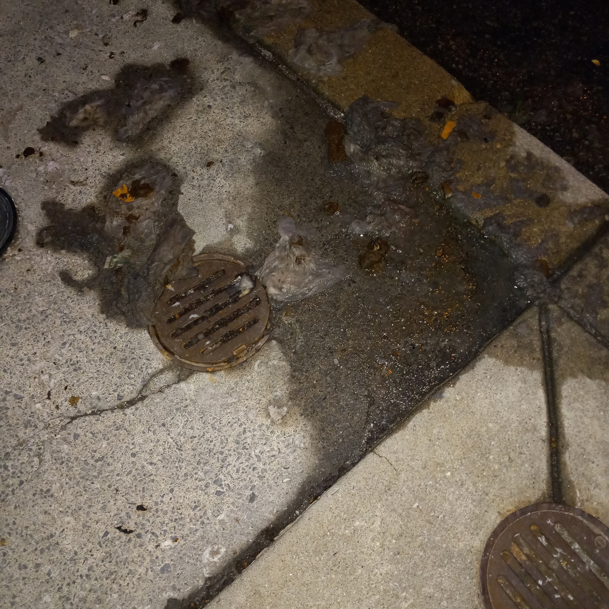 Photographic documentation of the work as submitted to the city's 311 record.