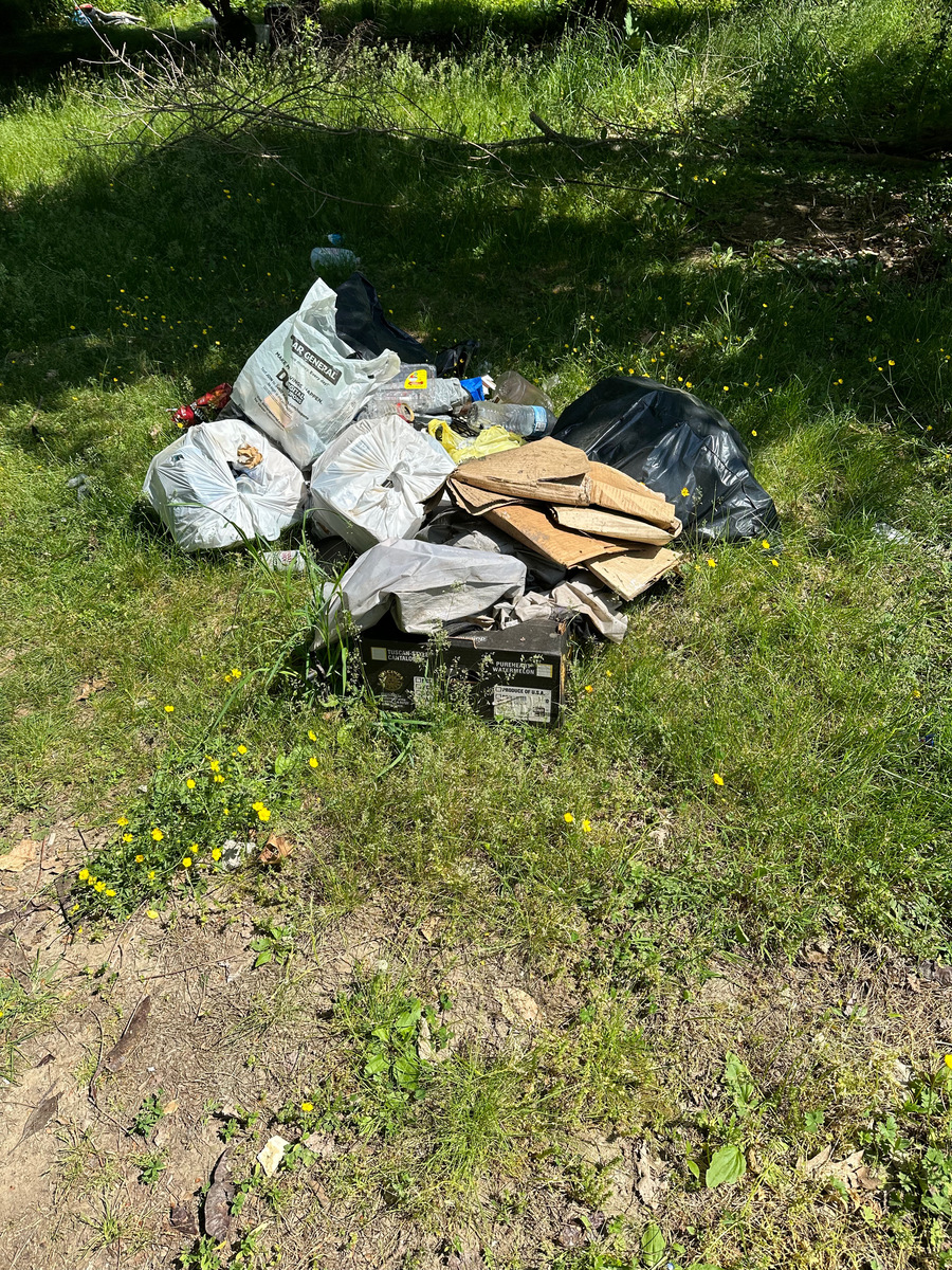 Photographic documentation of the work as submitted to the city's 311 record.