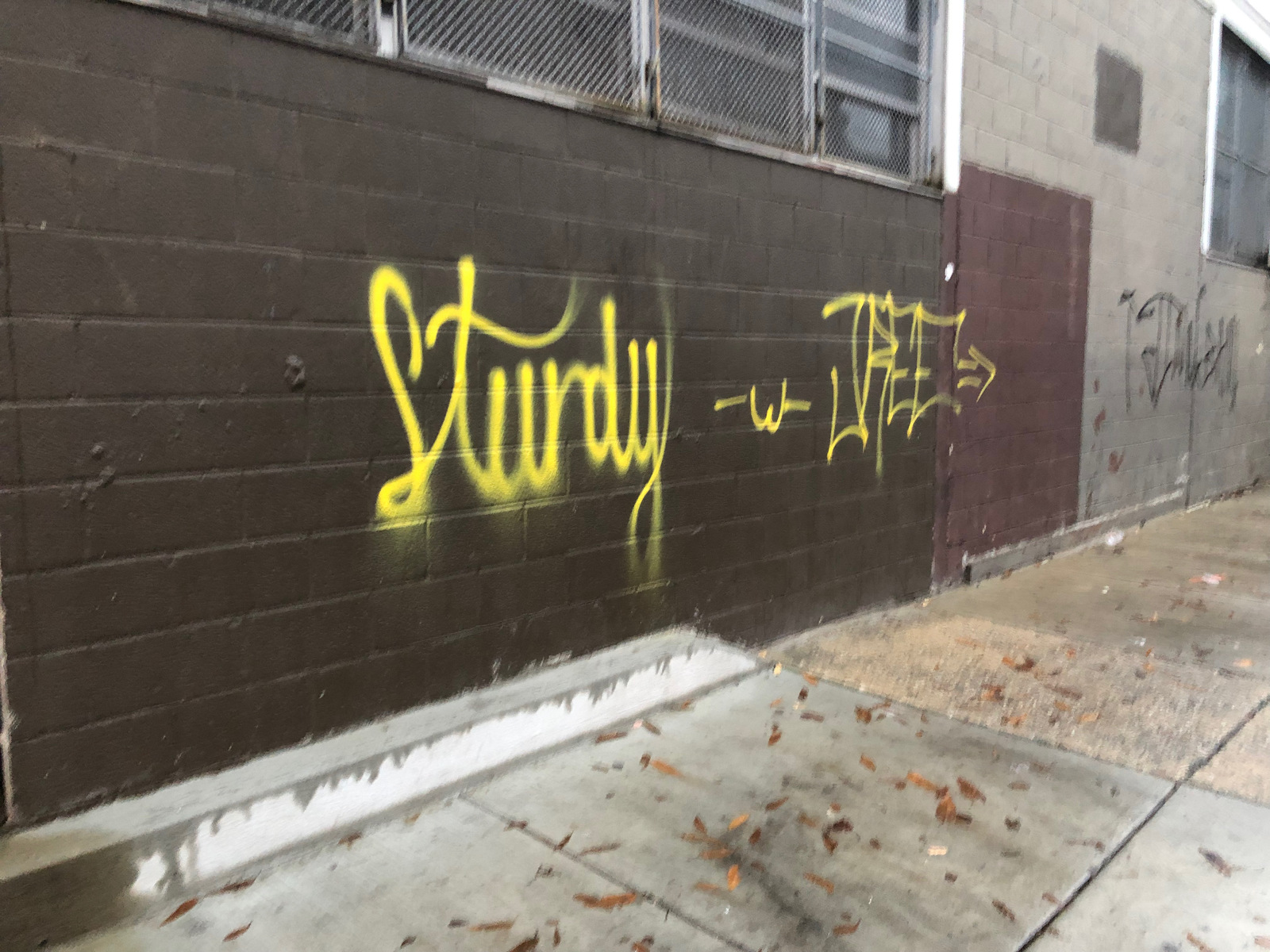 Photographic documentation of the work as submitted to the city's 311 record.