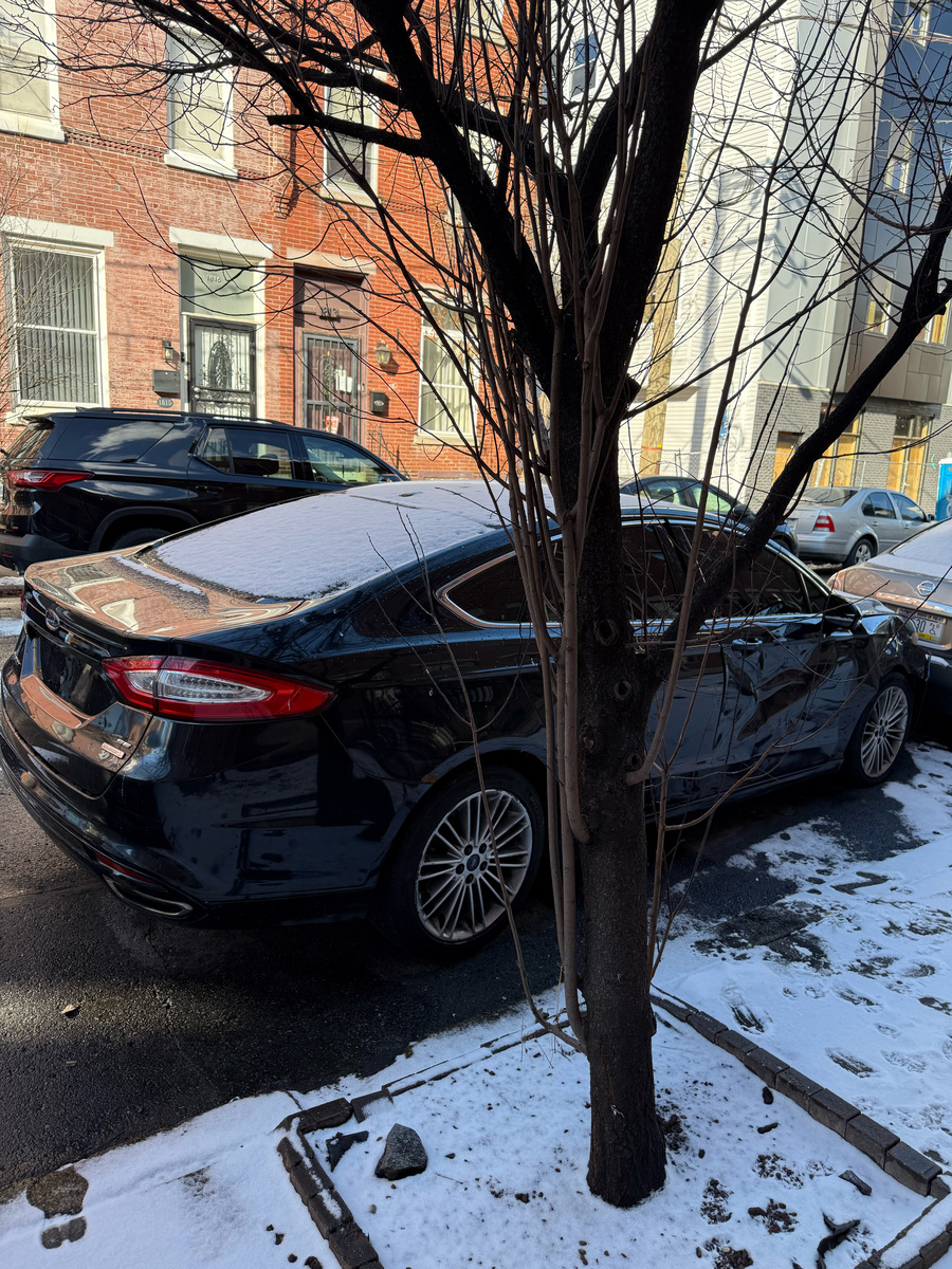 Photographic documentation of the work as submitted to the city's 311 record.