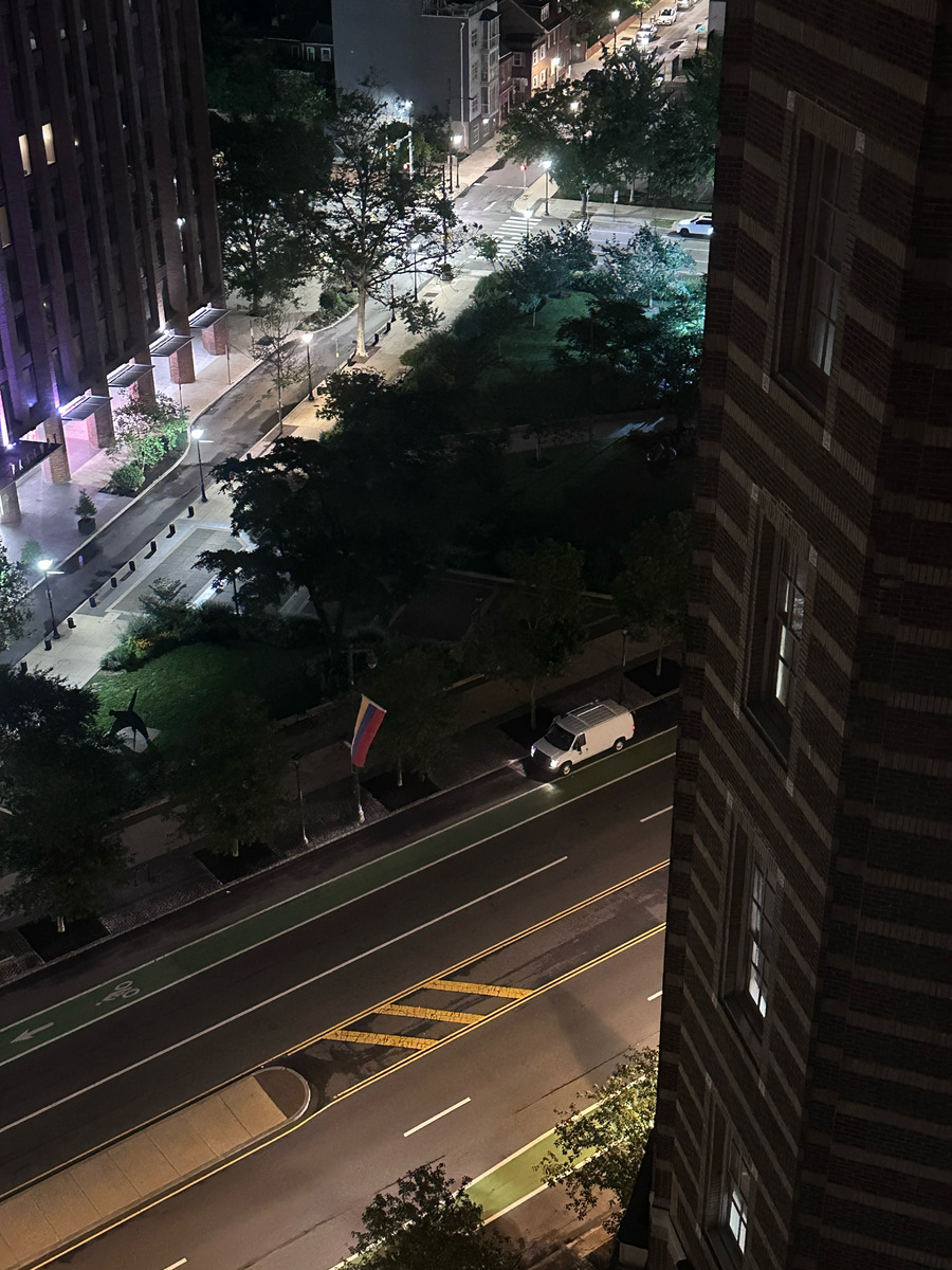 Photographic documentation of the work as submitted to the city's 311 record.