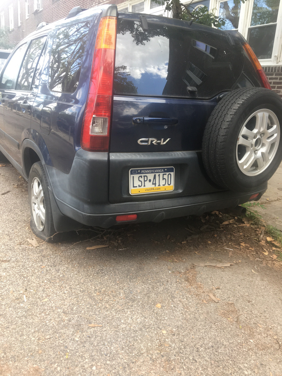 Photographic documentation of the work as submitted to the city's 311 record.