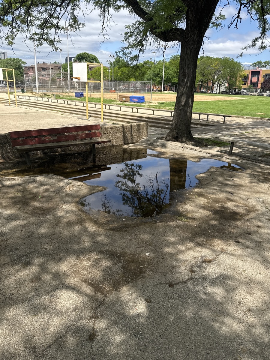 Photographic documentation of the work as submitted to the city's 311 record.