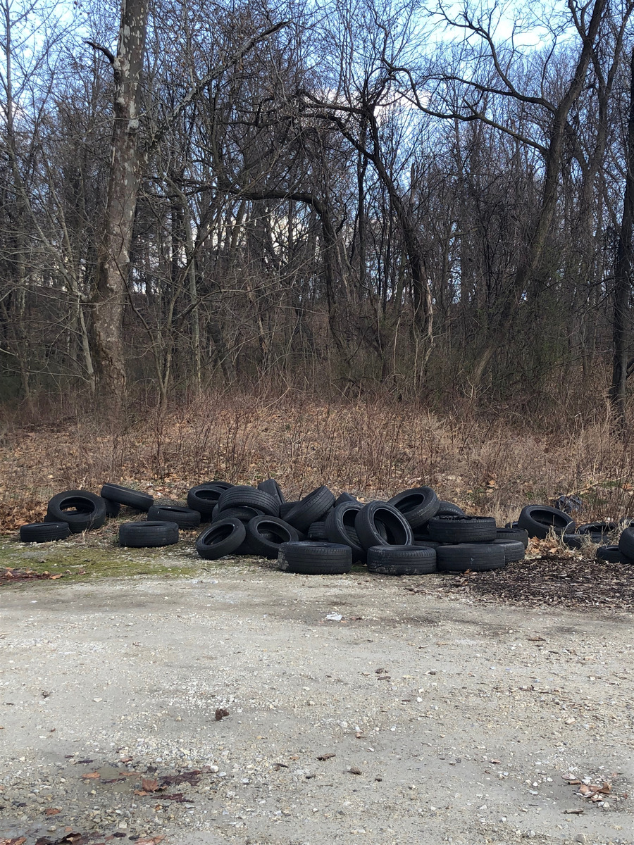 Photographic documentation of the work as submitted to the city's 311 record.
