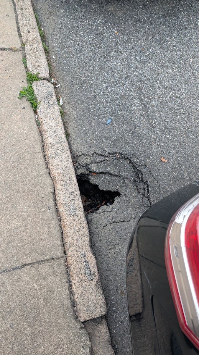 Photographic documentation of the work as submitted to the city's 311 record.