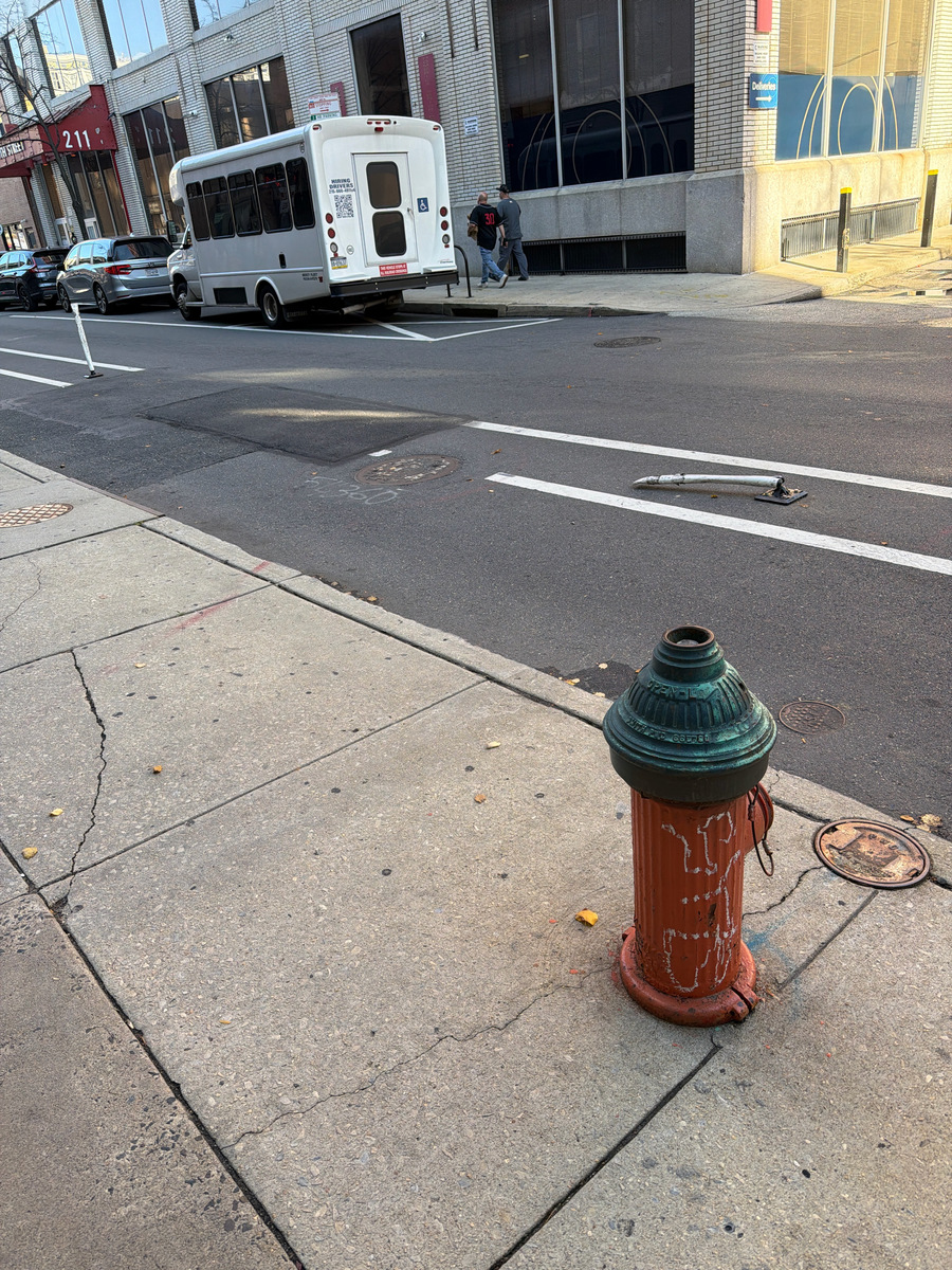 Photographic documentation of the work as submitted to the city's 311 record.