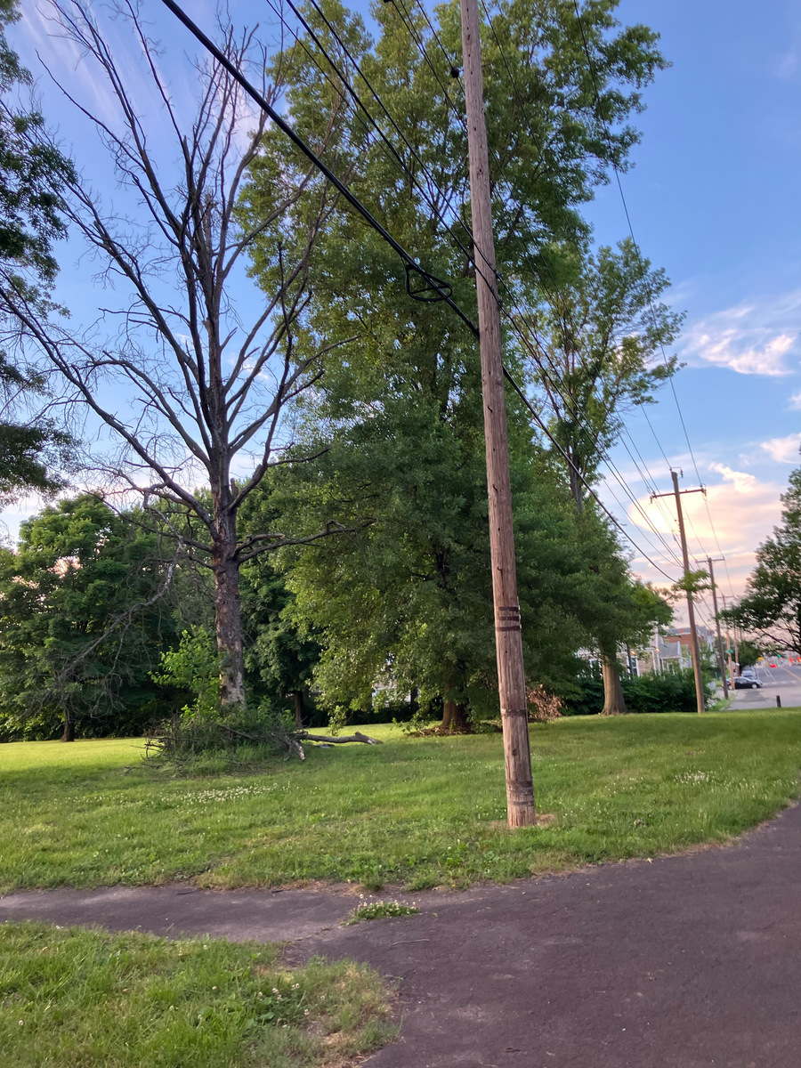 Photographic documentation of the work as submitted to the city's 311 record.