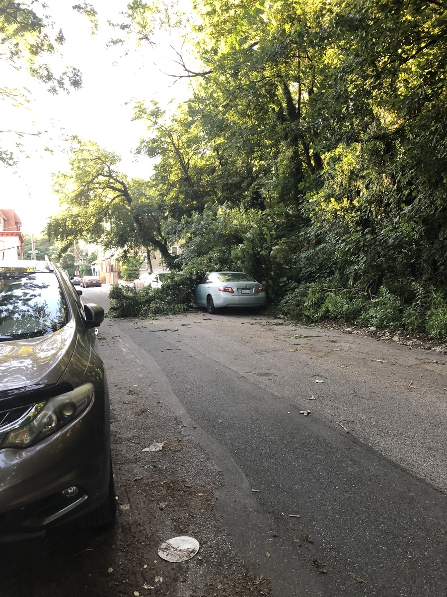 Photographic documentation of the work as submitted to the city's 311 record.