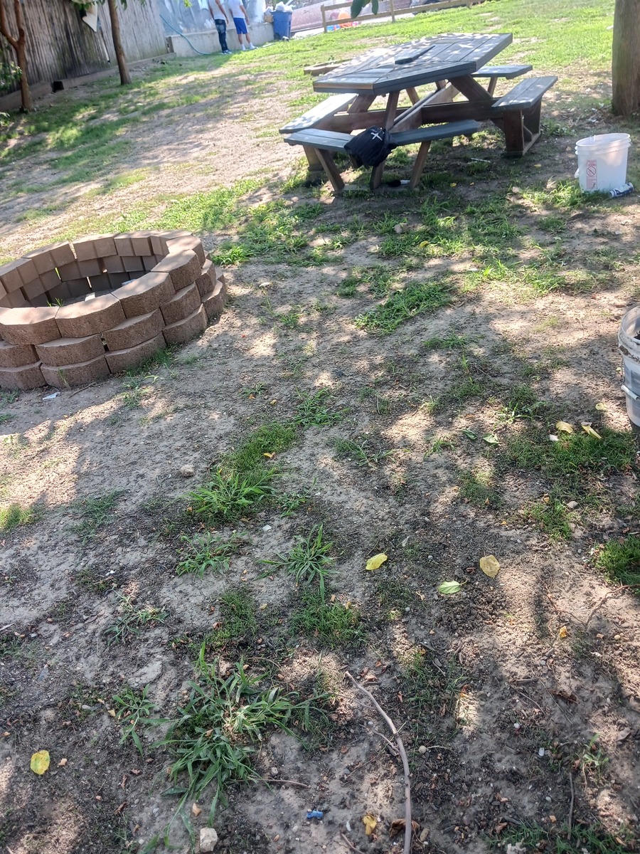 Photographic documentation of the work as submitted to the city's 311 record.