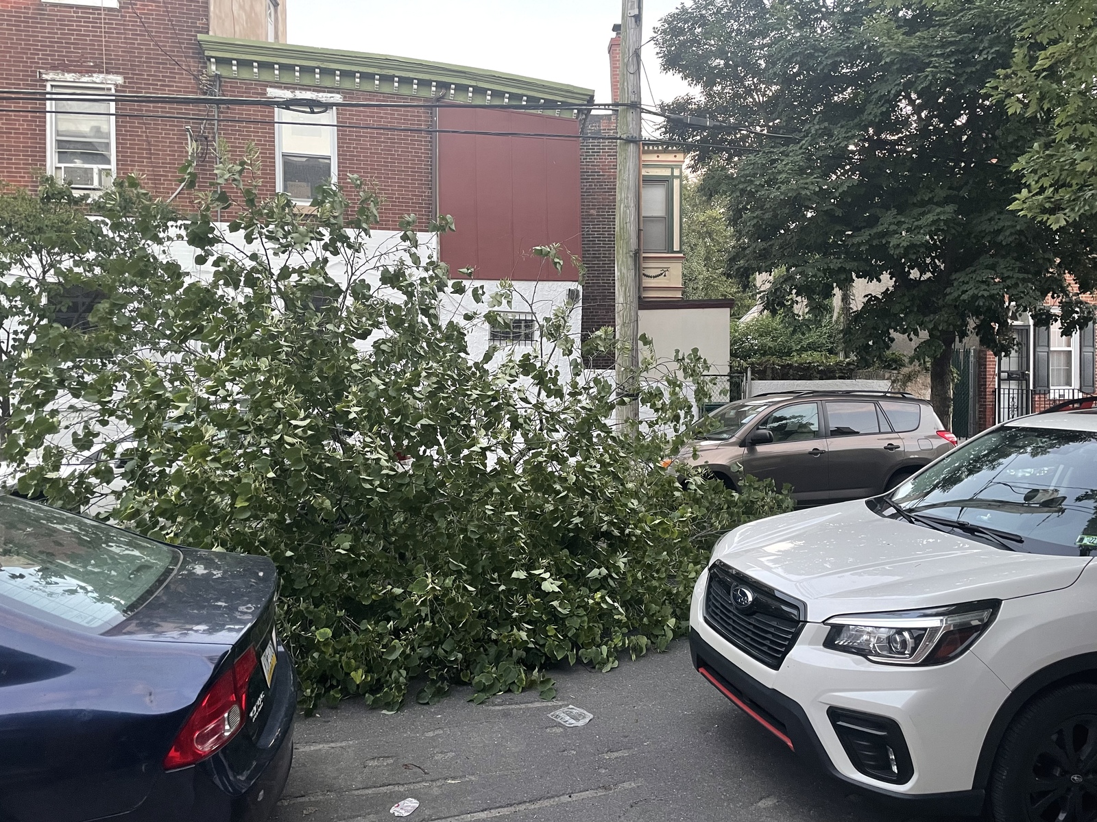 Photographic documentation of the work as submitted to the city's 311 record.
