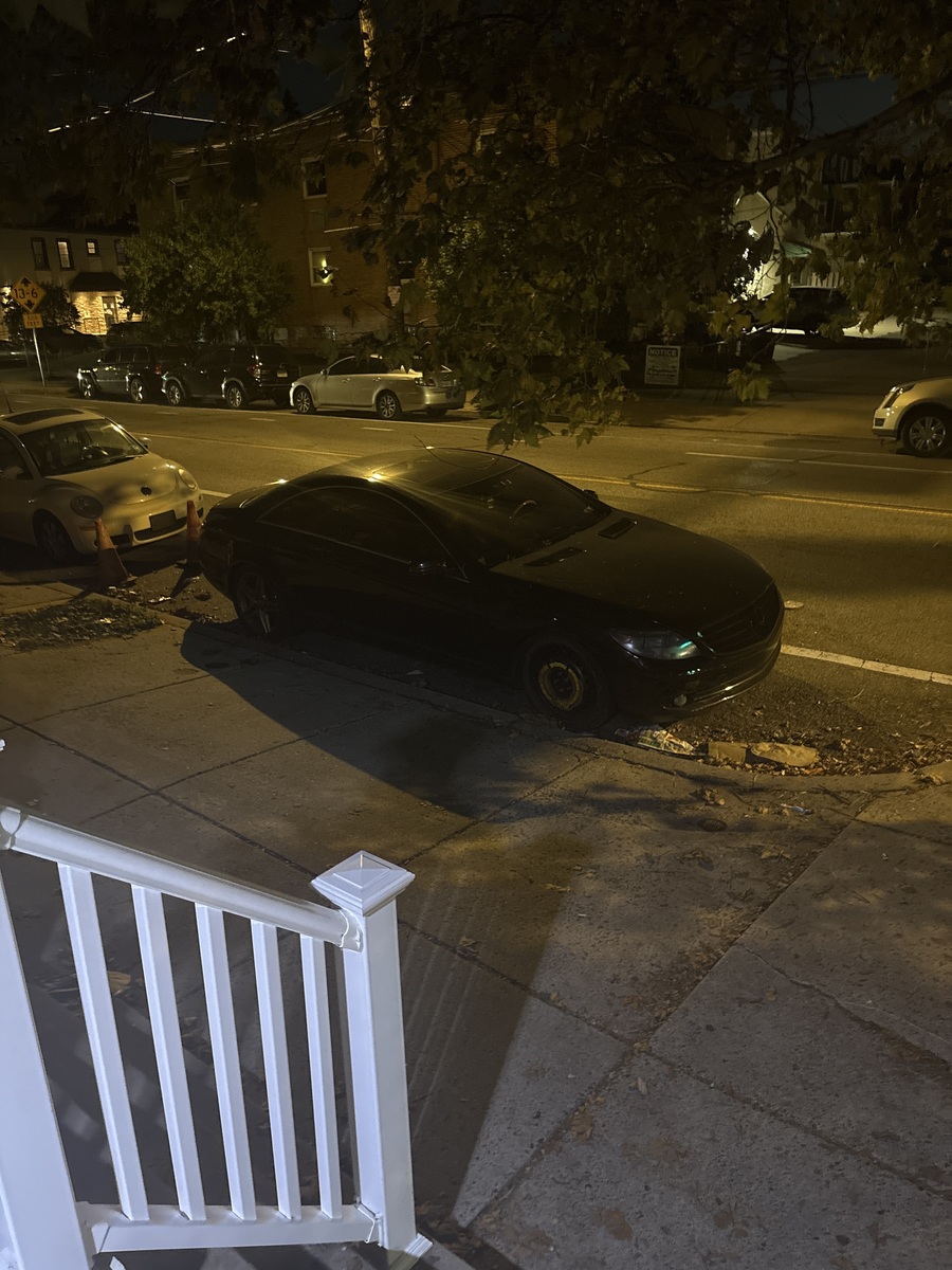Photographic documentation of the work as submitted to the city's 311 record.