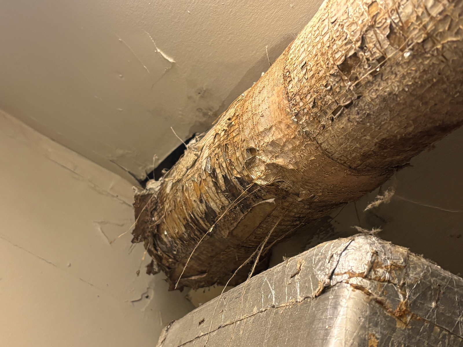 Photographic documentation of the work as submitted to the city's 311 record.