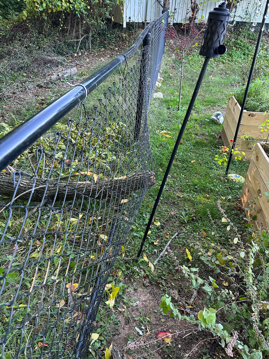Photographic documentation of the work as submitted to the city's 311 record.