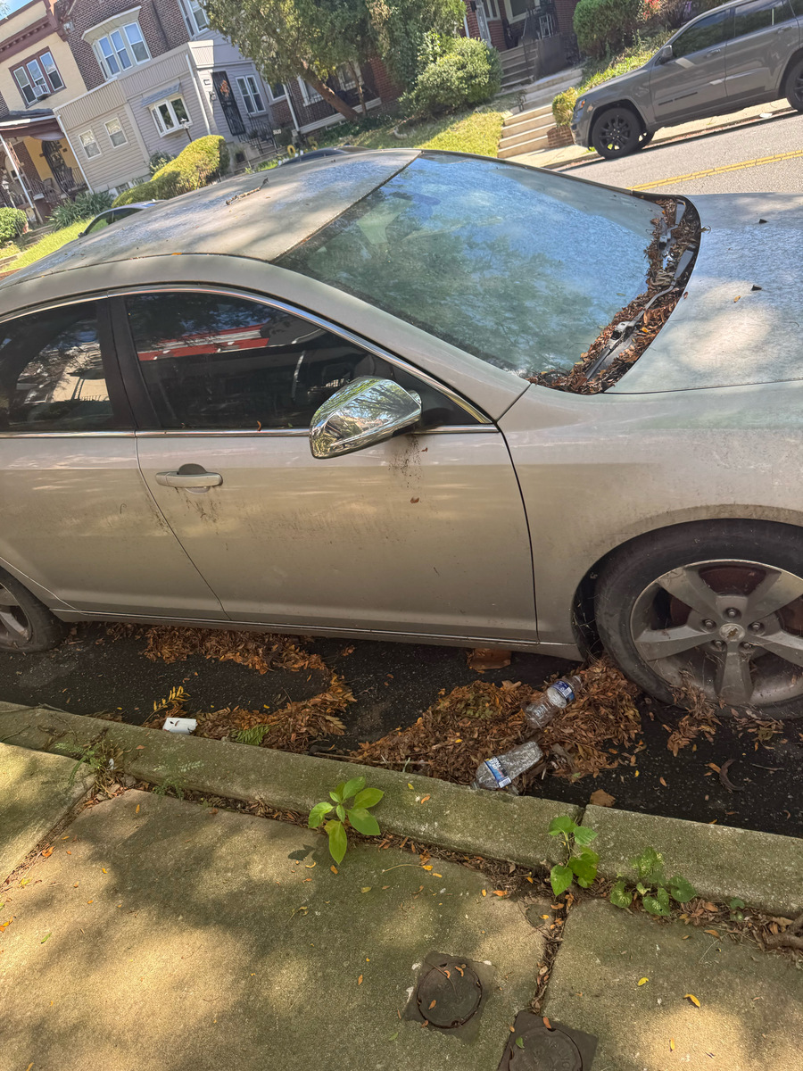 Photographic documentation of the work as submitted to the city's 311 record.