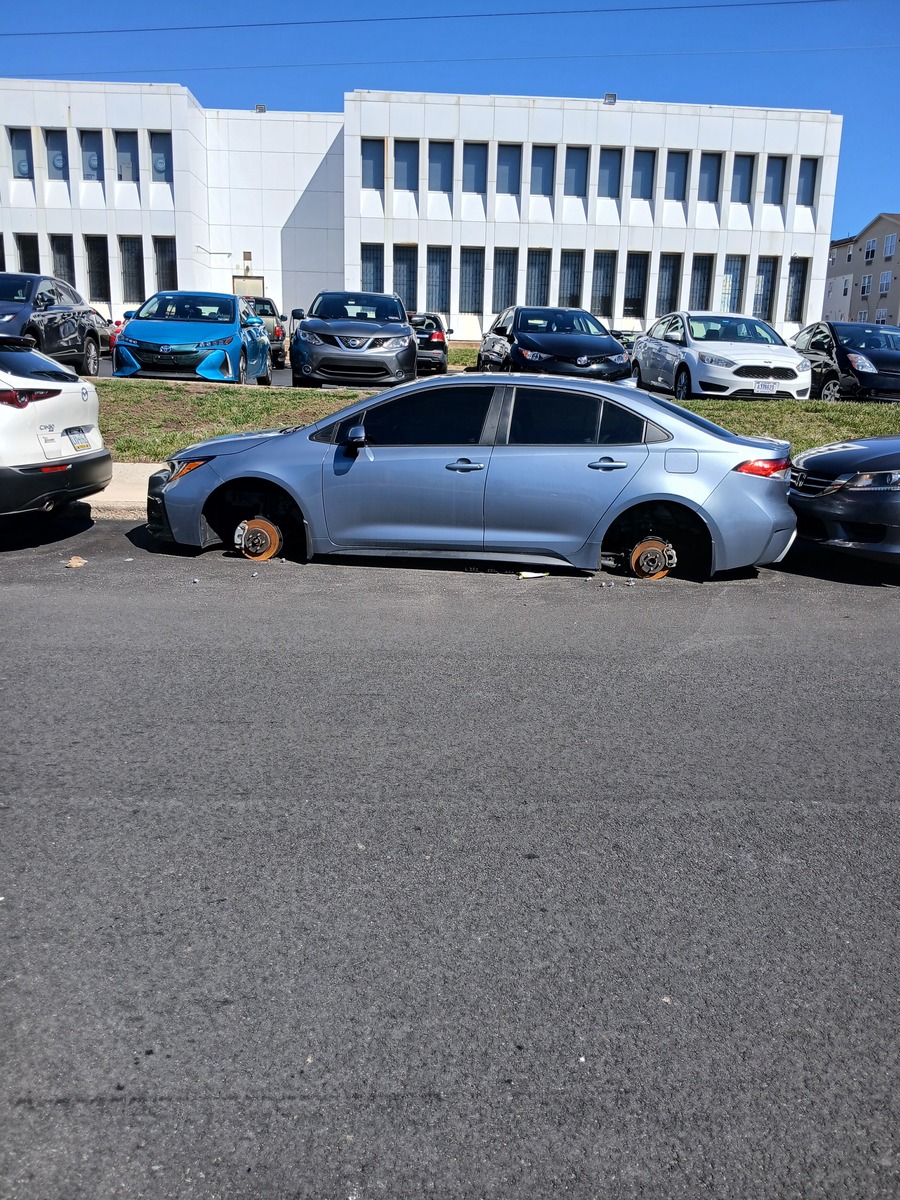 Photographic documentation of the work as submitted to the city's 311 record.
