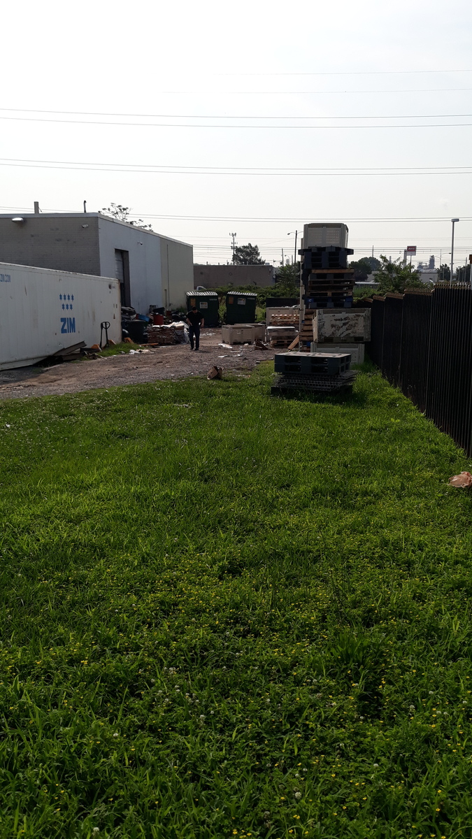 Photographic documentation of the work as submitted to the city's 311 record.