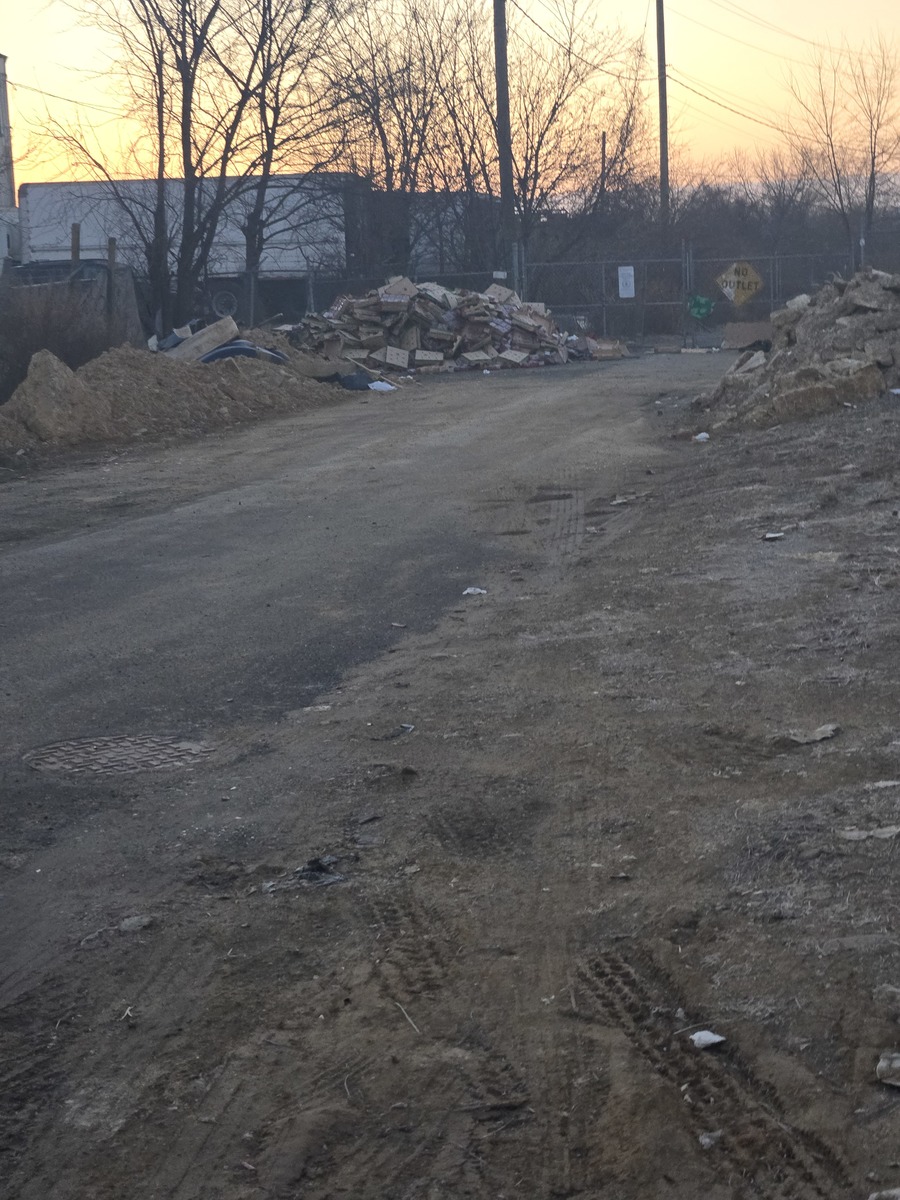 Photographic documentation of the work as submitted to the city's 311 record.
