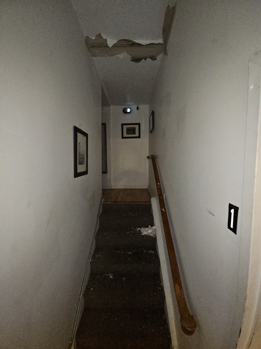 Photographic documentation of the work as submitted to the city's 311 record.
