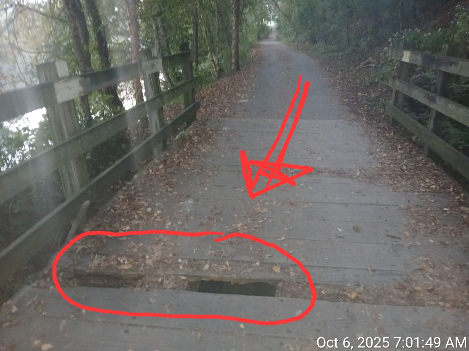 Photographic documentation of the work as submitted to the city's 311 record.