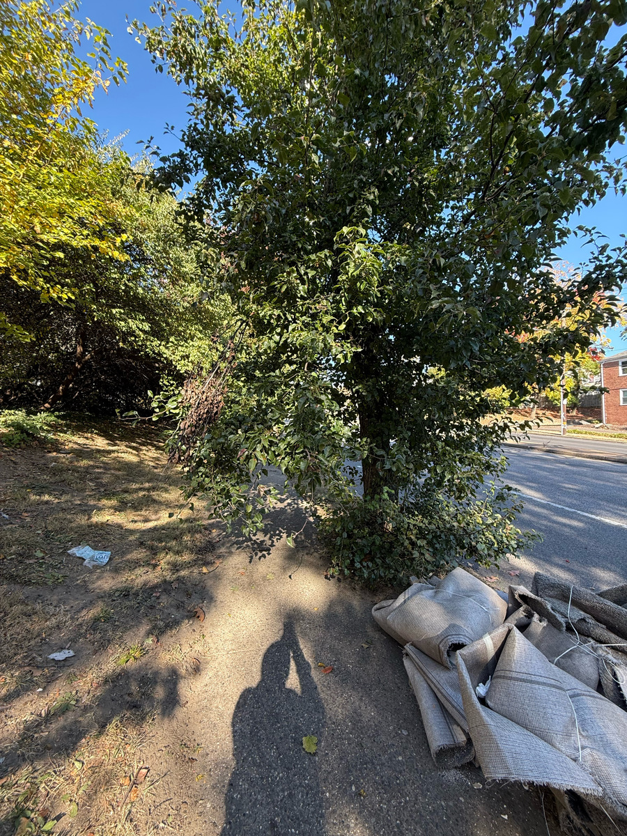 Photographic documentation of the work as submitted to the city's 311 record.