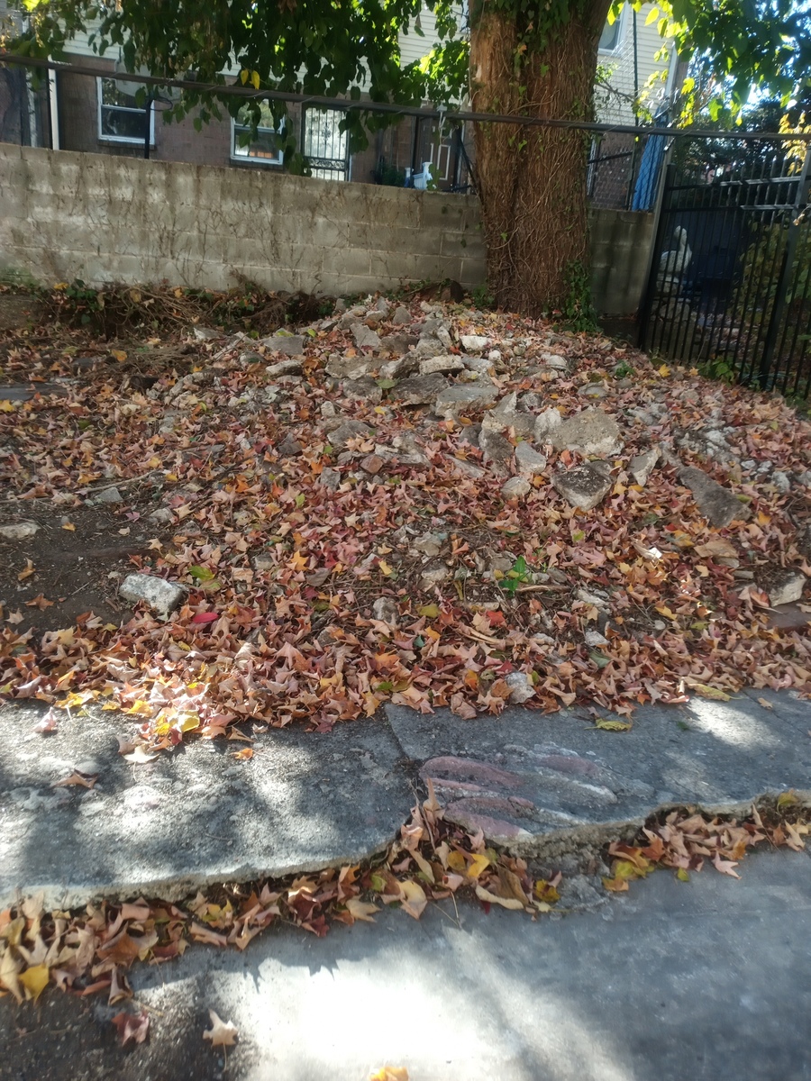 Photographic documentation of the work as submitted to the city's 311 record.
