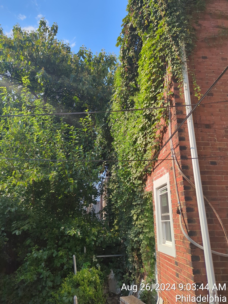 Photographic documentation of the work as submitted to the city's 311 record.