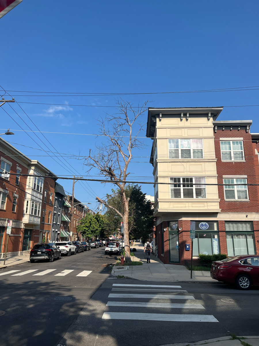 Photographic documentation of the work as submitted to the city's 311 record.
