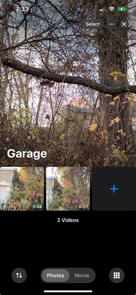 Photographic documentation of the work as submitted to the city's 311 record.
