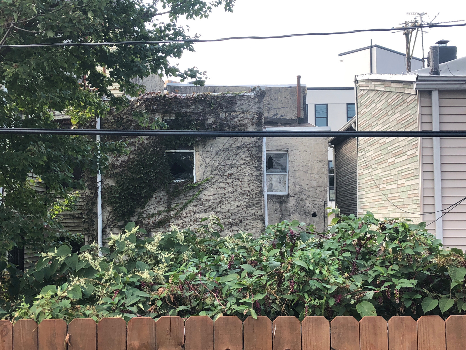 Photographic documentation of the work as submitted to the city's 311 record.
